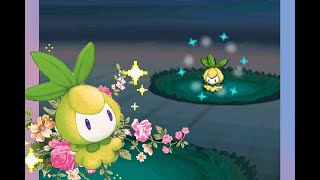 Live Shiny Petilil after 1,588 Random Encounters!