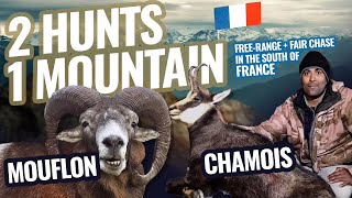 Hunting The Grand mountains of France for Mouflon and Chamois