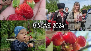 9 мая 2024• собираем черешню и клубнику • выходные на хуторе