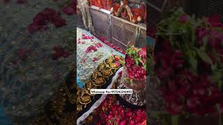 Mira datar dargah Urs stetus|whatsapp qawwali status|2024new qawwali|Famous qawwali|mira data