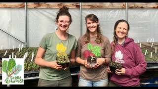 Food Love Farm Plant Sales 2020