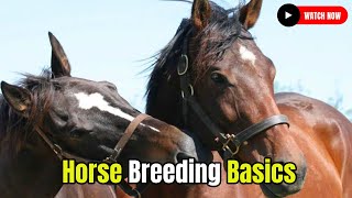 Horse Breeding Basics: What Every Owner Should Know #secretanimals  @secret_animals