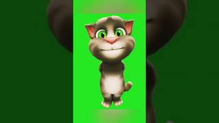 Singing Talking Tom Cat