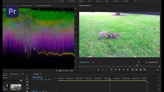 Til je social media video's naar een hoger niveau met Adobe Premiere