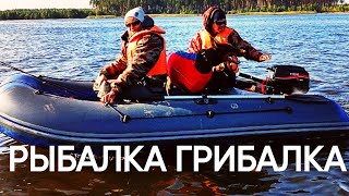 Рыбалка, грибалка, отдых на природе.  Весьегонск, Рыбинское водохранилище