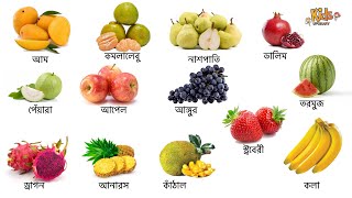 বাংলায় ফলের নাম | Bangla fruits name। ফলের নাম । বাংলা ভিডিও | ছবিসহ ফলের নাম | Kids vocabulary