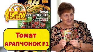 Томат Арапчонок F1