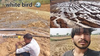 खेतो मे पानी देने गए 🚜 | Watering our Farm | Farming Vlog | Rbh Mehra Vlogs