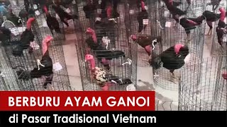 Berburu Ayam Ganoi di Pasar Tradisional Vietnam