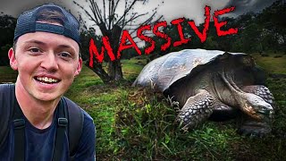 The Galápagos Islands Are Actually Insane - Tortoises EVERYWHERE