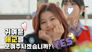 [TWICE/사나] 애교 보여주는 사랑스럽샤♥ 사람이 이렇게 귀여울 수가 있나..??