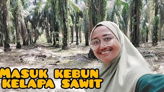 aktiviti saya masuk kebun kelapa sawit