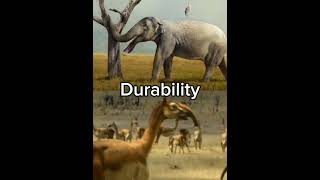 Platybelodon vs Macrauchenia #platybelodon #macrauchenia