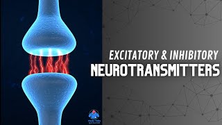 Excitatory and Inhibitory Function of Neurotransmitters | Synapse | Dr Krunal Dabhi