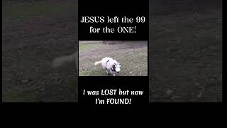 I was LOST, but now I'm FOUND! #pentecostal #apostolic #christianmotivation