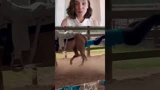 Horse ))) #funnyvideo #reaction