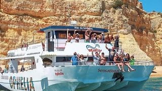 albufeira boat tour dolphin watch and caves tour 4k 60fps