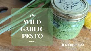 Wild Garlic Pesto 🍃🌿✨ - an Irresistible recipe from the Woods