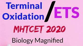 Terminal Oxidation/Electron Transport System for mhtcet 2020 l 12th biology respiration for mhtcet