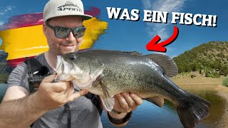 Was für ein Fisch! Schwarzbarschangeln in Spanien! || Teil 2 || Pantoffel angelt