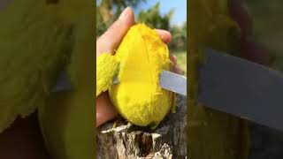 Oddly fruit cutting mango ninja fruit Morom Jan rathin