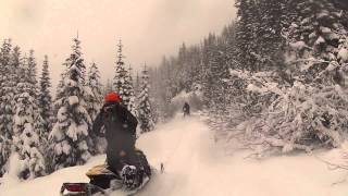 Mount Baker snowmobiling