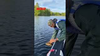 Backflip Catch and release Bass #fishing #fish #bass #outdoors #catchandrelease #backflip #shorts