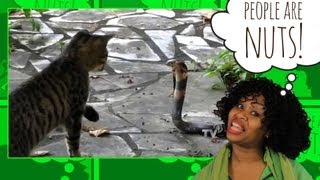 GloZell: People Are Nuts (19.) about a Good Catfight!