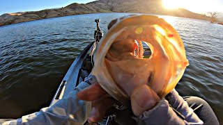 Cope’s Rod and Tackle Helps me Hook Fish at Lake Kaweah CA