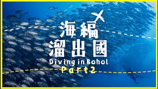 【菲律賓薄荷島、邦勞、巴里卡薩】世界級的潛水殿堂 Balicasag，被傑克魚群龍捲風擁抱的感動