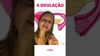 Como acontece a Ovulação | Dra Letícia | Papo Fértil