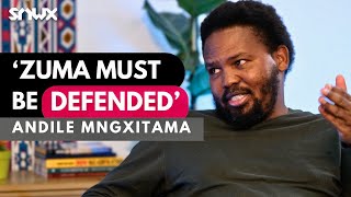 Andile Mngxitama on MK Party, Julius Malema, Thabo Mbeki, Markus Jooste, Jacob Zuma, 2024 election