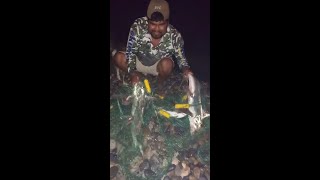 este hombre jamás se  percató que al sacar su red del mar vendría Esto..  pescados de noche