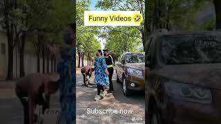 funny Video #shorts