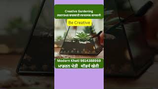 Creative Gardening | ਰਚਨਾਤਮਕ ਬਾਗਬਾਨੀ | रचनात्मक बागवानी | Modern Kheti