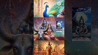 shiv / krishna /ram #mahadev #radhakrishna #rammandir #trend #shortsfeed #viralvideo