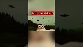 Katze sieht Ufos & macht sofort Selfie