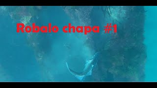 Robalo chapa #1 Barco afundado