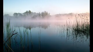 Smoke on the water