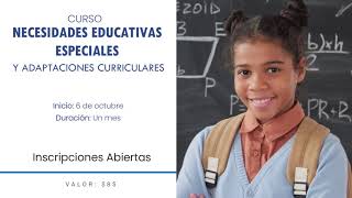 Necesidades Educativas Especiales y Adaptaciones Curriculares