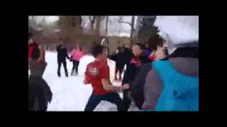 School Fight