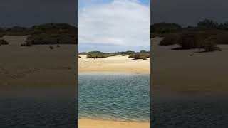 beach side #shorts #trendingshorts #portugal #beach #somghale