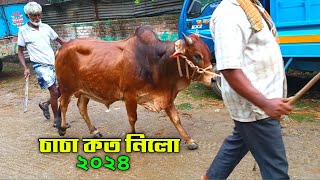 ভাই কত নিলো ২০২৪ || Bhai Koto Nilo || Sirajganj Gas Line Gorur hat | Qurbani Cow price in Bangladesh