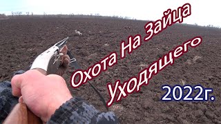 Уходящий заяц 2022 (16+) Охота на зайца 2022. The outgoing hare in   Hare Hunting 2022 (16+)