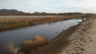 Chasing Ashland's duck after shot over decoys