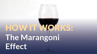 Marangoni Effect: Tears of Wine (and Rum)