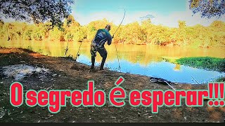 Na pescaria de curimba a persistência é primordial... #pesca #pescador #curimba #pescaria #fishing