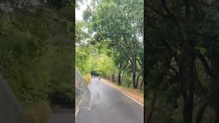 The Sigiriya #sigiriyarock #srilankatravel #travelvlog #naturelovers