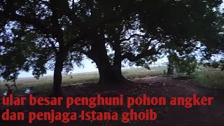 ISTANA EMAS GHOIB DI PEMAKAMAN !!