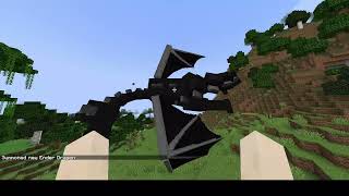 enderdragon